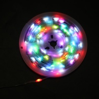 Bande lumineuse LED USB 5V flexible, pixels intelligents RGB, changement de couleur, guirlandes lumineuses en PVC, kit 5M, contrôle WiFi, étanche IP65, lumière LED