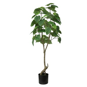 Décoration d'intérieur du fabricant Real Touch Ficus <span class=keywords><strong>Umbellata</strong></span> artificiel pour chambre - Product Image 6