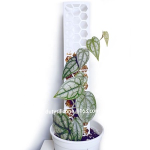 New Idea 2022 Plastics Moss Pole Stackable Totem Pole For Indoor Plants Creepers Moss Sticks