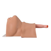 Simulador de Cricotirotómia para Práctica de Incisión y Sutura, Modelo Avanzado para Simulación de Punción de la Membrana Cricotiroidea y Traqueotomía