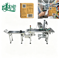 Machine de marquage laser anti-contrefaçon pour la date de production et les marques de brevet, pour l'emballage de snacks et les lignes de production d'emballages souples pour snacks