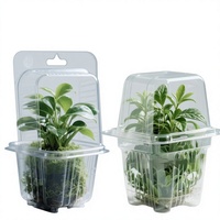 Barquettes en plastique transparentes écologiques personnalisées pour plantes, en PVC, PET, PS, pour le transport de graines, légumes et fleurs
