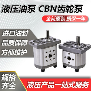 Petite pompe hydraulique à engrenages haute pression, ensemble de surpresseur électrique CBN-F310/314/316/20/25, pompe à huile, catégorie hydraulique - Product Image 5