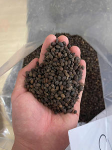 Lotus bleu Offre Spéciale 2025 graines de papaye séchées de qualité supérieure remède à base de plantes nettoyage naturel améliorer la digestion immunité stimuler la santé de la peau - Product Image 6