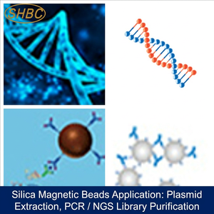 Silica-Magnetperlen für Nukleinsäure-Extraktion Genomische <span class=keywords><strong>DNA</strong></span>/RNA-Reinigung Siliziumhydroxyl-Oberflächenbeschichtete Perlen - Product Image 3