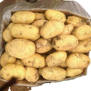 Pommes <span class=keywords><strong>de</strong></span> <span class=keywords><strong>terre</strong></span> russettes biologiques fraîches, vente en gros d'usine, provenance du Shandong, 7 cm - Product Image 6