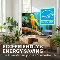 Televisor Inteligente de 75 Pulgadas 4K UHD QLED con Sistema Android TV OS, WiFi + Control por Voz, Proveedores Verificados al por Mayor, Pantalla Grande