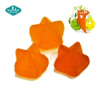 Nutrifirst Complément alimentaire végétalien minceur personnalisé Multivitamine vinaigre de cidre de pomme Bonbons gommeux