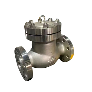 Vanne de retenue verticale filetée SS304/316 ANSI/EN/DIN pour systèmes CVC, vapeur, eau chaude, conduites de vapeur, filtration haute précision, ODM/OEM - Product Image 2