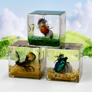 Cubo di Resina con Scorpione Dorato Vero, Insetto Conservato per Uso Educativo e Decorativo e Regalo per Amici - Product Image 2