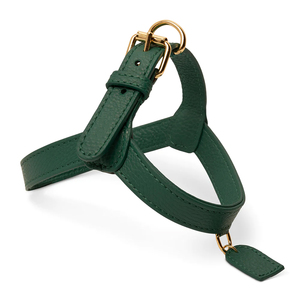 Harness Anjing Kulit Asli Berkualitas Premium, Lembut, untuk Latihan dan Jalan-jalan - Product Image 1