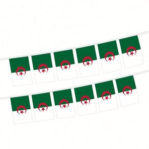 ธงโพลีเอสเตอร์จากผู้ผลิตโดยตรง ธงแอลจีเรียแบบเส้นพร้อมสายแขวน คุณภาพพรีเมียม ทนทานต่อการซีดจาง เหมาะสำหรับงานอีเว้นท์ - Product Image 2