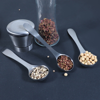 Cuillère à thé matcha de cuisine, vente en gros, cuillère à mesurer en acier inoxydable, cuillère à mesurer cuillère à thé cuillère à mesurer 10ml