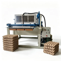 Mesin Baki Telur Multi-Spec 6 12 30 Sel dengan Pengering Logam, Lini Produksi Pencetakan Pulp Otomatis untuk Pengemasan Telur Industri