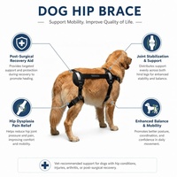 PETSGUARD Orthèse de hanche vétérinaire pour chien en maille respirante de polyester, harnais de soutien de hanche réglable, soulage l'arthrite, simple et robuste
