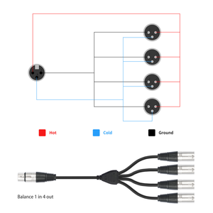Кабель-разветвитель аудиосигнала XLR 0.6 м, 1 выход на 4 входа, 4-канальный, 3-контактный, штекер-гнездо, балансный, для микрофона - Product Image 3
