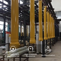 Vérin hydraulique en acier étanche à double effet de qualité marine avec tige de piston chromée dure pour grue navale et équipement offshore
