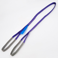 Sling de levage plat en polyester double épaisseur VINEET CE 1T violet haute résistance 25 mm x 5 m pour palan de pont roulant
