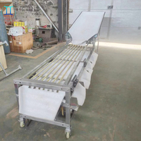 Sorteermachines En Sorteermachines Voor Groenten En Fruit, Producten Voor De Grootte, Sorteermachine Voor Fruit En Sortering