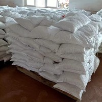 Pierres de pas de jardin en pierre naturelle de cailloux de roche de rivière blanche pure Offre Spéciale pour une utilisation en extérieur