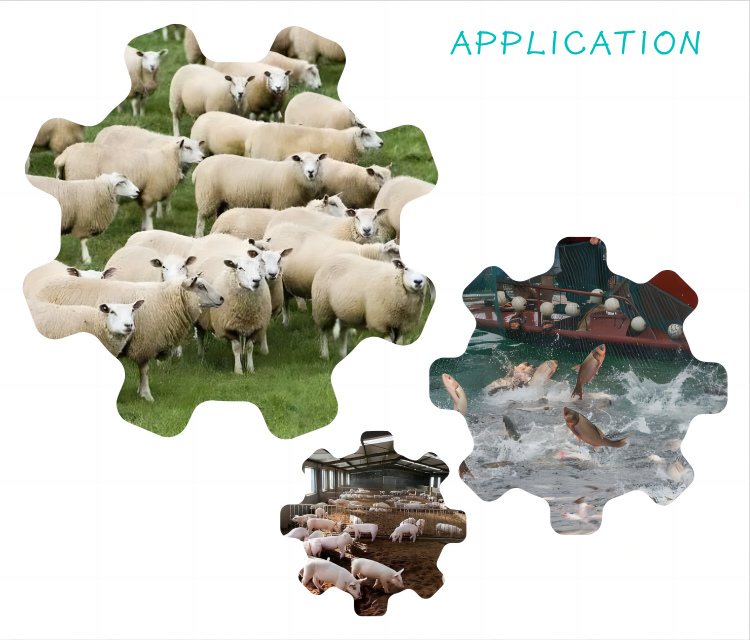 Feed Protein Amino Chelated Micro Minerals 15% (Zn, Cu, Mn, Fe, Co) Promote Absorption