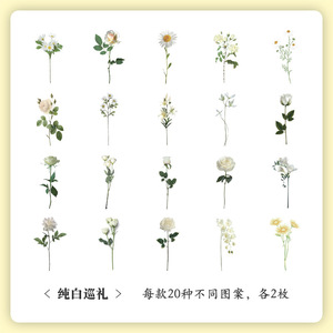 40 Sheets Per Pack Eco-Friendly PVC Nature Museum Handbook Sticker Pack Vintage Children's Anime Butterfly Flowers Stickers - Product Image 6