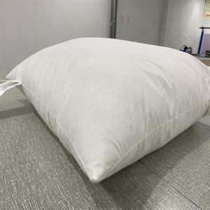 Custom Goose/Duck <strong>Feather</strong> Throw <strong>Pillow</strong> 100% Cotton Bed <strong>Pillow</strong> <strong>Insert</strong> Wholesale - Product Image 2