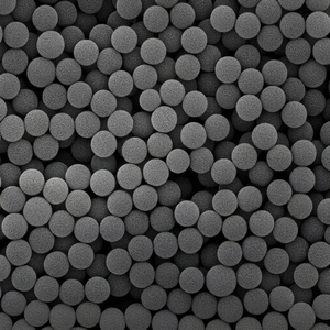 Microesferas Magnéticas Epoxi Funcionales para la Captura de Biomoléculas, Acoplamiento Covalente de Proteínas y Desarrollo de Diagnóstico Clínico - Product Image 1