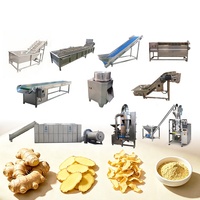 Hoogwaardige gemberpoeder verwerkingsmachine complete set gemberverwerkingsmachine prijs automatische gemberverwerkingslijn