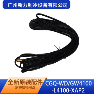 Sensor de Temperatura CGQ-WD/GW4100-L4100-XAP2 de Guangzhou Xinli Refrigeration Equipment Co Ltd con Cables, Original y Nuevo - Product Image 2