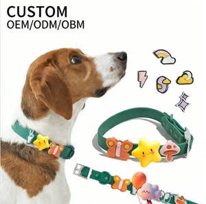 Ensemble collier et laisse pour animaux de compagnie imperméable et personnalisable -  DIY  Breloques de jouets pour chiens - Product Image 1