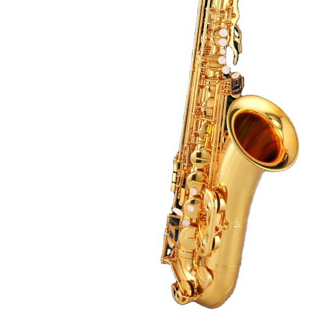 Alto Saxophone for Beginners Gold Lacquer Surface Performance-Ready for Adults Children Eb Tone Generation for Examination