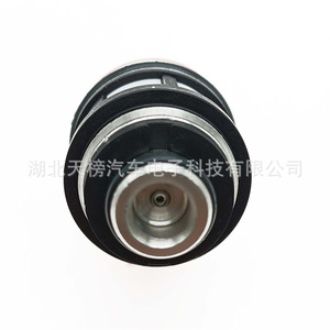 Inyector de Combustible 166001B000 166001B010 para Nissan Dfac, Pieza de Repuesto de Plástico, Nueva - Product Image 4
