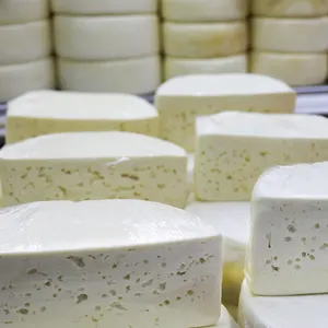 معدات معالجة ضريبة القيمة المضافة للجبنة لبنيات الجبن 100 لتر