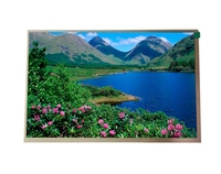 AISON 10,1 Zoll LVDS IPS TFT Touchscreen LCM LCD-Anzeigemodul 1280x800 Auflösung LED-Hintergrundbeleuchtung 350-800 Cd/m² -20°C 70°C