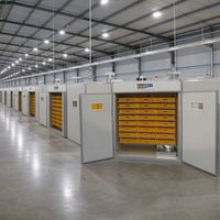 Incubateur d'œufs de poulet électrique automatique professionnel homologué CE, capacité de 2112 œufs, machine combinée