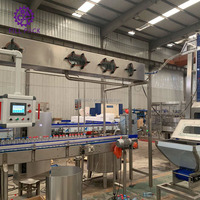 Machine de mise en bouteille de boissons gazeuses en acier inoxydable SUS316, remplisseuse de bouteilles à contre-pression et contrôle automatique