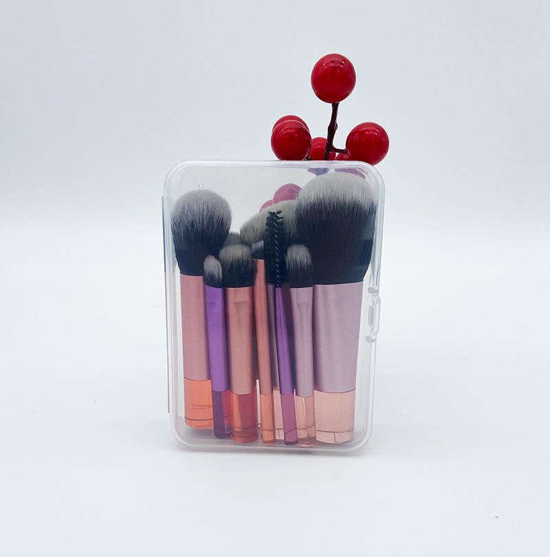 Mini Travel Makeup Brushes