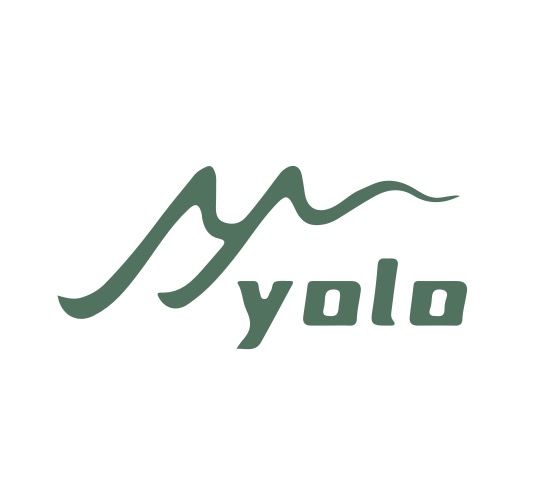 HK YOLO INDUSTRIAL LIMITED logo