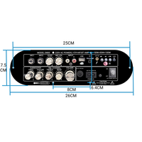 Amplificateur de Subwoofer Domestique Professionnel SZM Mini DJ/Karaoké 2.1 Canaux pour Carte TF 5.0 en Alliage d'Aluminium 12-24V USB/MIC/FM