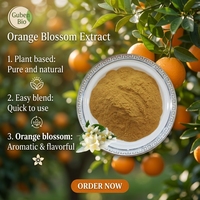 Extrait de fleur d'oranger, poudre de fleur d'oranger amer, qualité alimentaire, fabricant chinois, en stock, livraison gratuite, 1 kg
