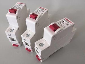 Миниатюрный автоматический выключатель MCB 1P 2P 3P 4P 1A 3A Upto 63A CE сертифицированный Серебряный Мини двухполюсный автоматический выключатель 30 Ампер - Product Image 6