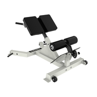 Équipement de gym professionnel : Banc d'extension dorsale à 45 degrés / Les fabricants fournissent des équipements sportifs pour la gym