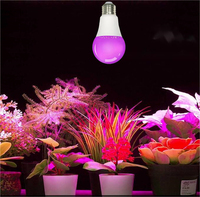 Lampu LED Toplighting Greenhouse Bloom 2024 untuk Pertumbuhan Tanaman Hidroponik Dalam Ruangan dengan CRI 90 Tinggi, Daya Tahan 30000 Jam