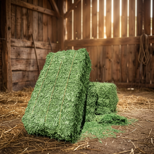 Standard Feed Grade Alfalfa <b>Hay</b> for Fish Cattle Horse Feeding (25KG <b>Bags</b>) - Product Image 3