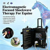 Equipo de Terapia de Ondas de Choque para Rehabilitación Equina, Máquina de Ondas de Choque Avanzada para Reparación de Tejidos Veterinarios en Clínicas