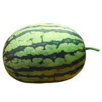 Grensoverschrijdend driedimensionaal bolvormig levensecht fruit groot watermeloen knuffelkussen pluche speelgoed zomercadeau PP katoen gevuld