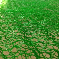 Geomat 20g — matériau synthétique HDPE pour le contrôle de l'astronomie, couverture d'herbe