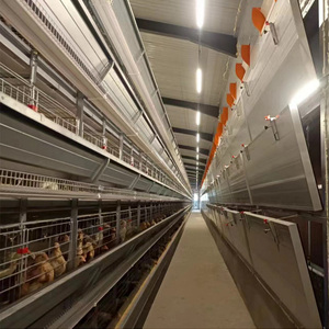 Gabbia di pollo strato di tipo H completamente automatizzato per strati pollame allevamento uovo automatico batteria gabbie polli fattoria gabbia di pollo - Product Image 2
