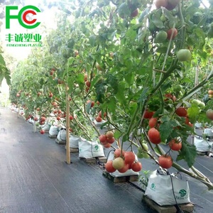 Panda bianco e nero sacchetto di pellicola fiore fioriera sacchetti di plastica per vivaio PE piantina alberello crescere borsa - Product Image 5